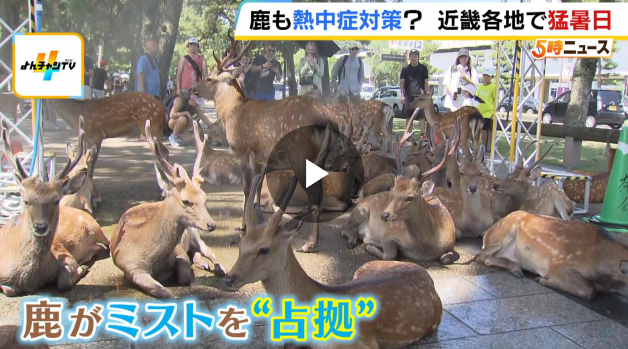 【奈良】「シカずるい…」涼を求めて奈良のシカが“ミストを占拠”　近畿では観測地点の７割が猛暑日に