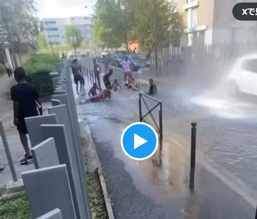 【フランス／パリ】涼むために消火栓をブチ壊す。移民は社会的コストを増大させる。