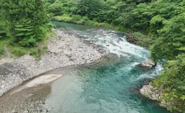 生物調査中の19歳大学生、川に流され死亡