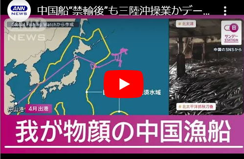 【漁業】中国船“禁輸後”も三陸沖操業かデータで浮かぶ実態 日本の漁師「矛盾してる」