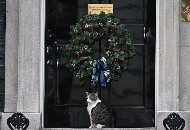 【(ΦωΦ)】英官邸、人気猫ラリーの「Ｘデー」準備　訃報発表の段取り検討