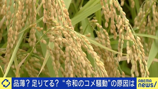 「令和の米騒動」はかなり稀な現象？米流通評論家「不作とは言えない」心理学者「重要なものが曖昧だとうわさが流れやすい」