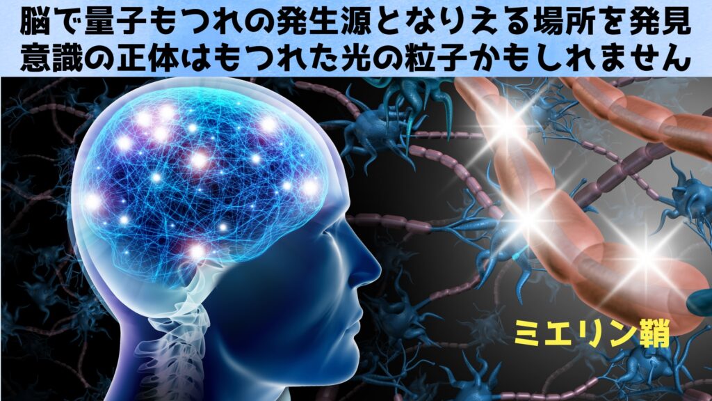 人の意識の根源は脳のミエリン鞘でエンタングルした光子対によるEPR相関、つまり量子力学的性質と判明