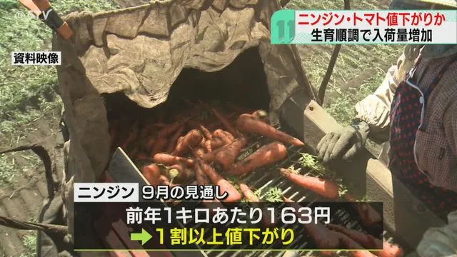 【食べ物】北海道産野菜の生育が順調　ニンジンやトマトが値下がりへ　高温の影響でタマネギは値上がり