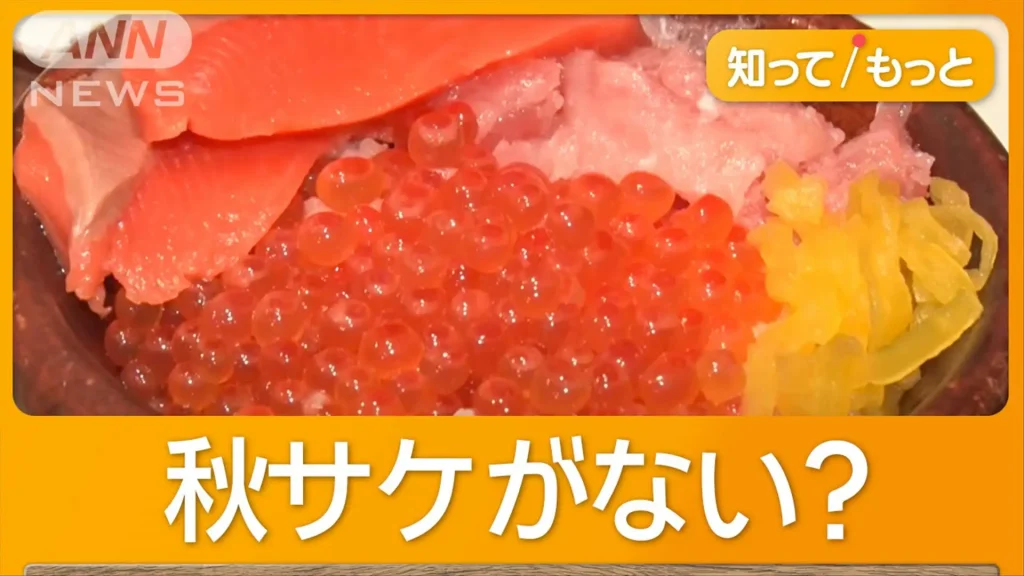 【ピンチ】秋サケ不漁で"海の宝石"イクラも高騰!?ノルウェー産サーモンが大特価で食卓を救う