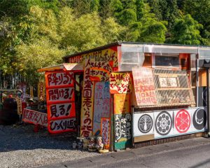 【群馬】山間部に突如現れる珍名所「アダルト保育園」の正体