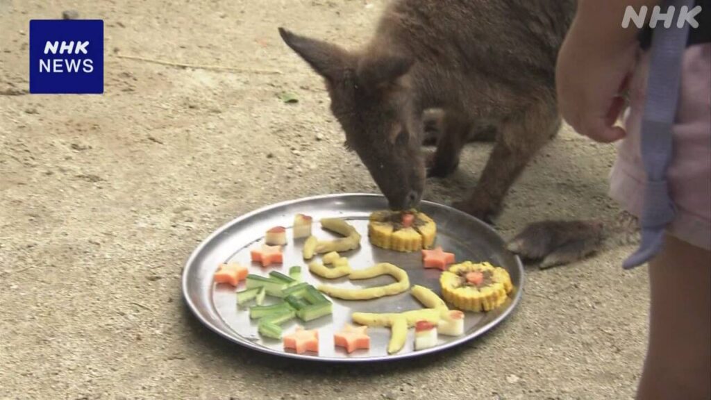 【栃木】敬老の日 ワラビーの長生きを祝い特製ケーキをプレゼント