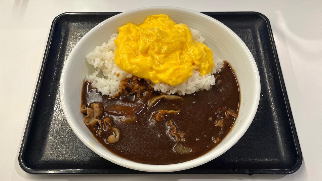 （ ・∀・）カレーライスがこの世にある限り～ハヤシライスは裏街道を歩き続けるだろう～