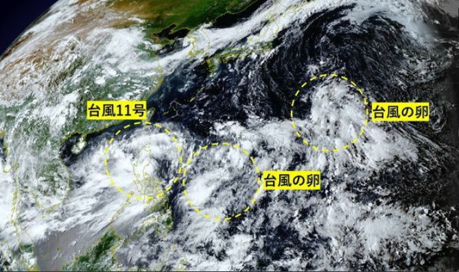 台風「産ませてよ！！」  11号に続き台風の卵が続々と発生