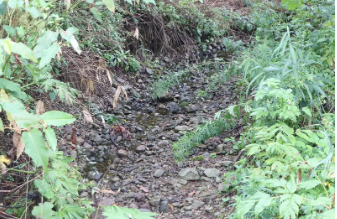 北海道で原因不明の河川枯渇が相次ぐ、川は枯れ、地は裂け、あらゆる生命体が絶滅