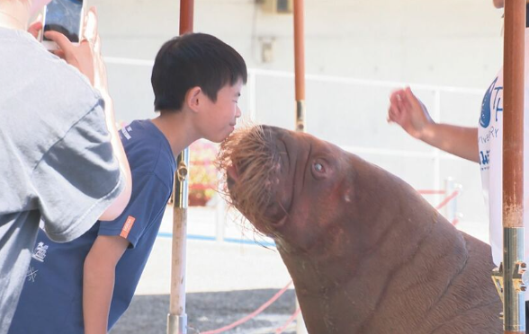 【寒い】3連休最終日、最高気温30度下回る　絶好の行楽日和　観光地にぎわう　大分