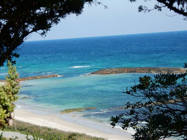 【静岡県】83歳ドイツ人、下田の海で溺死 　海水浴場は8月25日をもって閉鎖