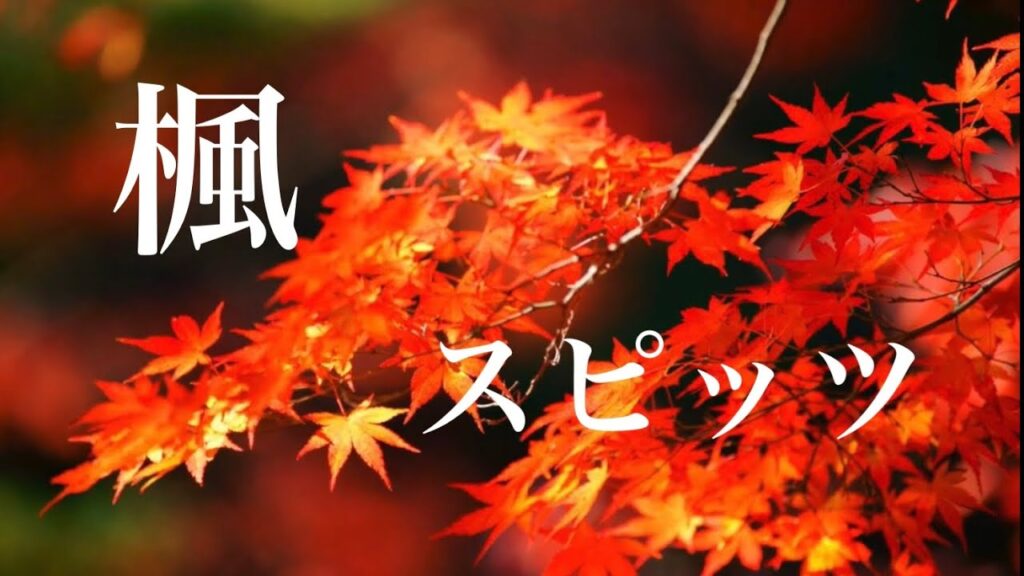 秋の歌といえば？人気ランキング【2024年最新版】　1位：楓（スピッツ）﻿（215票）　みんなは？