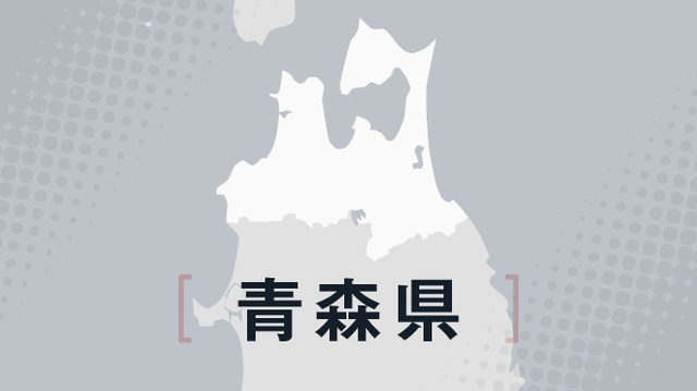 出場校が1校となり「軟式野球の秋の県大会」が中止に　青森県高野連