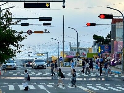 韓国で旭日旗の使用を制限する条例が続々制定、効果には疑問の声＝ネット「反民族行為禁止法をつくるべき」