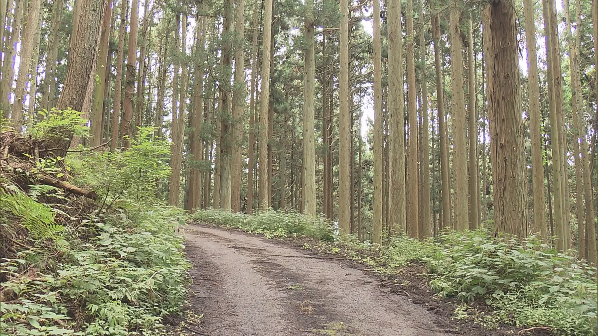 【長野】大型バイクが崖下に転落、運転の５４歳女性が重傷　仲間とツーリングに来ていたという