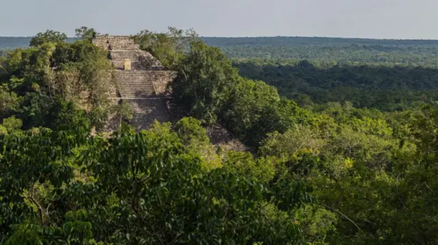 【考古学】メキシコのジャングルに古代都市、ネット検索中の大学院生が偶然発見