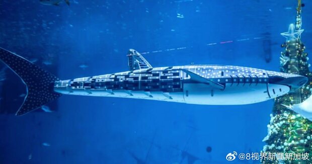 【中国】本物だと思ったら…深センの水族館のジンベエザメはロボットだった！客激怒で返金要求