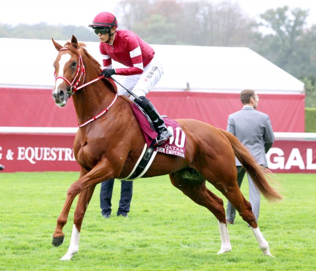 【競馬】『凱旋門賞』  ブルーストッキングが優勝！　坂井瑠星騎乗のシンエンペラー、武豊騎乗のアルリファーは着外に沈む…