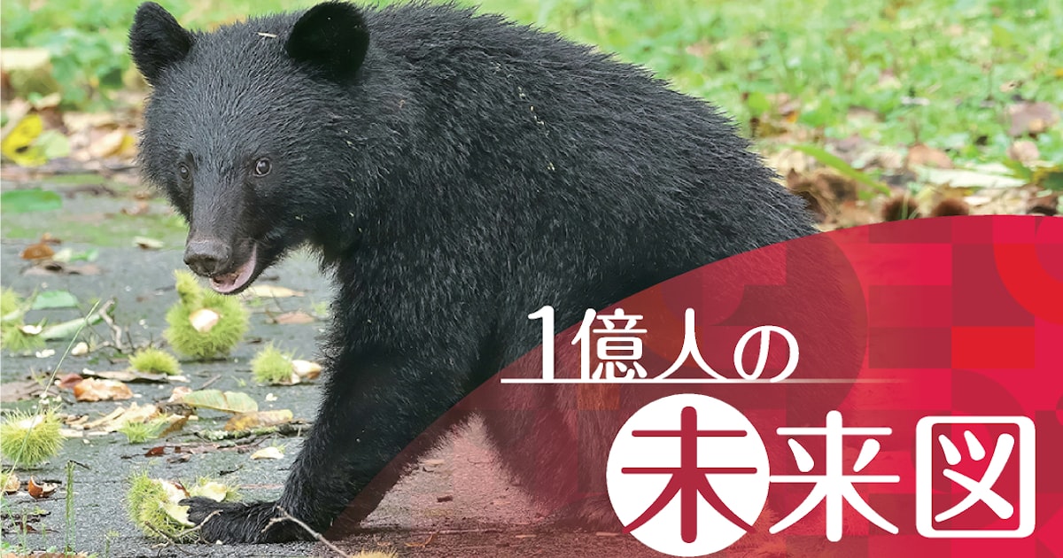 2050年、日本の都市がクマに占拠される恐れ