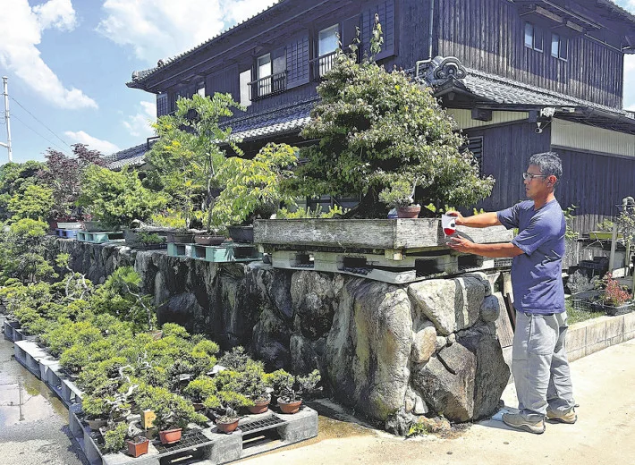 【自衛にも限界】 「ＢＯＮＳＡＩ」人気で海外に転売か、盆栽盗難相次ぐ…２６０鉢１２５０万円相当被害の業者