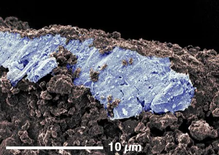 【はやぶさ２】小惑星「りゅうぐう」砂に塩の結晶　試料分析で発見―京都大など