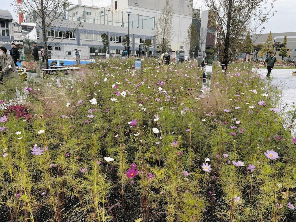 【神奈川】 ただの通行人もカウント？　川崎市が「94万人来場」と発表した緑化イベント、担当者に聞いたら…