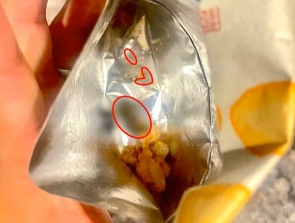 【独自】カメムシ“丸々1匹”がお菓子に混入　口に入れて“異物感”に気づく　シャトレーゼのお菓子