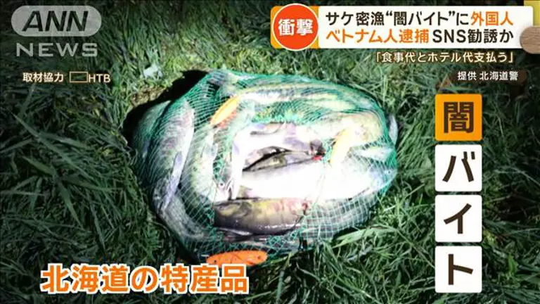 【国内】外国人を巻き込む闇バイト　北海道特産のサケ密漁　SNSで勧誘か…ベトナム人の男逮捕