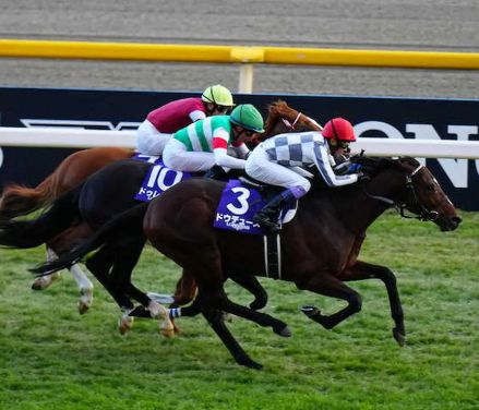 【競馬】ジャパンカップ(東京・G1)　武豊ドウデュースV！“総大将”の底力見せつけた　G1通算5勝目