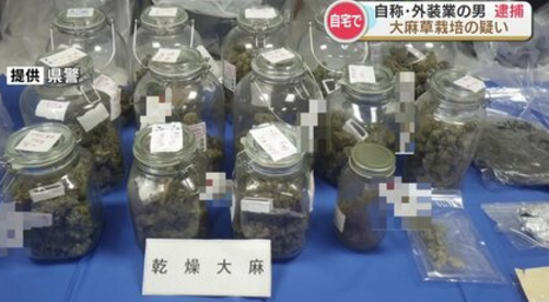 【熊本】「大麻の臭いがする…」と通報された男(43)を大麻栽培容疑で再逮捕