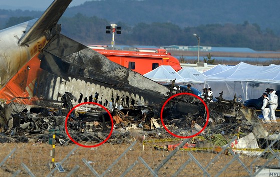 【済州航空事故】エンジンから発見された羽毛と血痕のDNA分析結果…鳥の種類は「トモエガモ」と判明