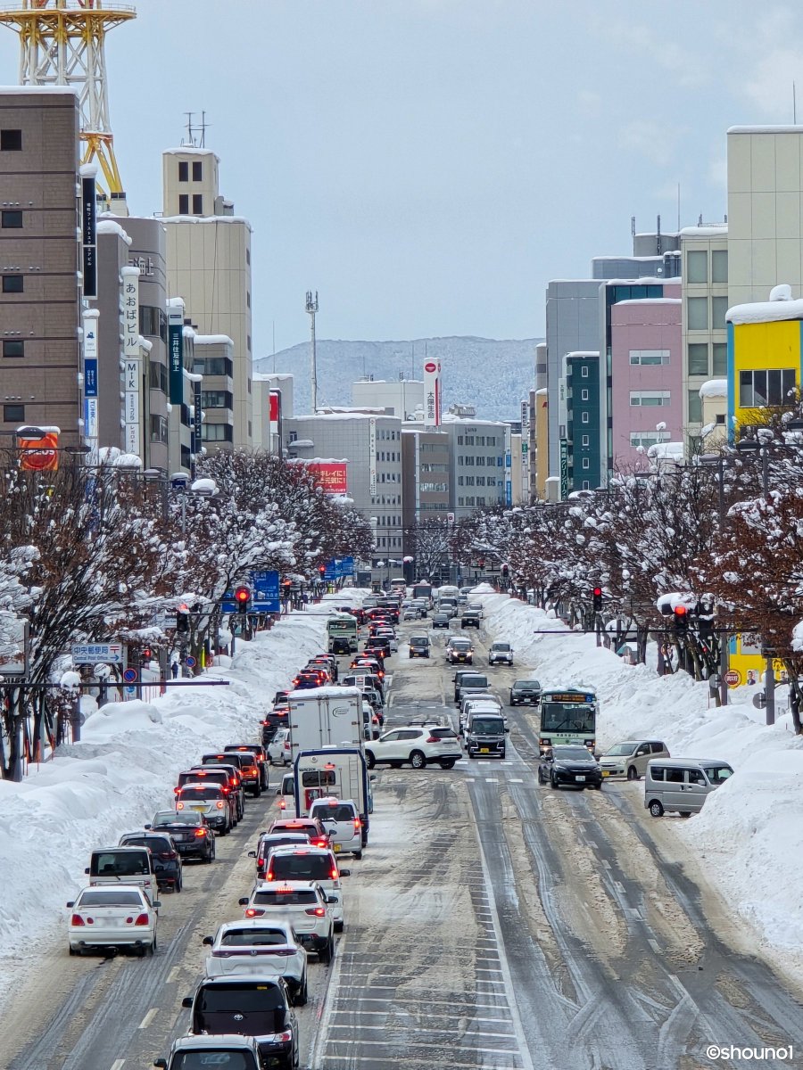 【画像】今年、雪多すぎワロタ