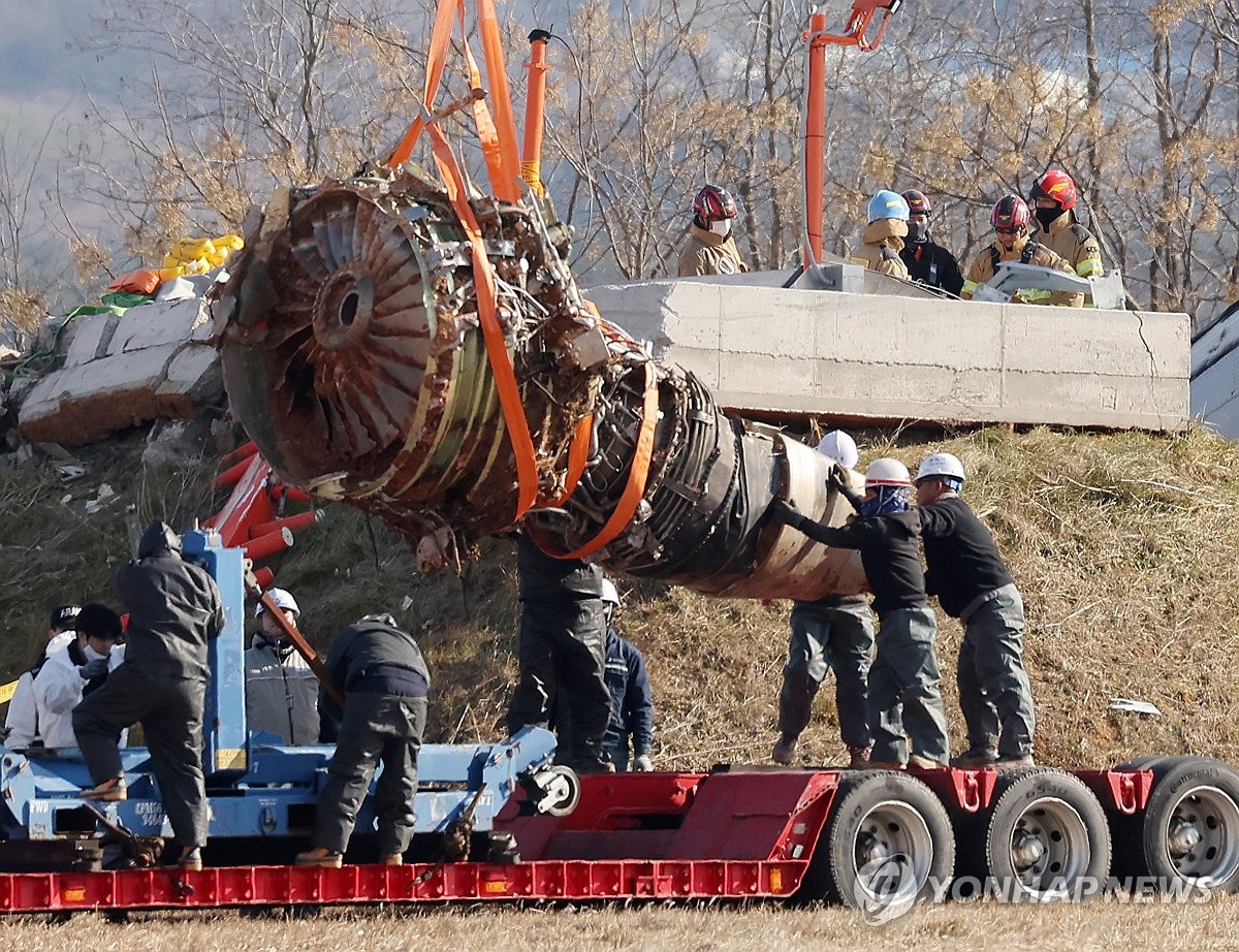 旅客機事故「バードストライクを確認」　エンジンから羽毛＝韓国政府