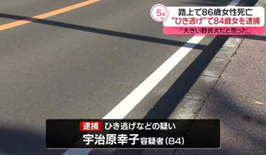 【千葉】86歳女性死亡　“ひき逃げ”で84歳女を逮捕 「大きい野良犬だと思った」