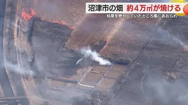 畑を約4万平方メートル焼く火事 ヤギ1頭が犠牲に…枯れ草を燃やしていた火が燃え移ったか