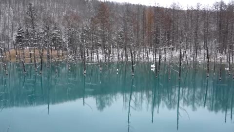 【北海道】アジア系外国人男性か「青い池」「白髭の滝」近くの川の中で発見…近くにリモコンシャッター