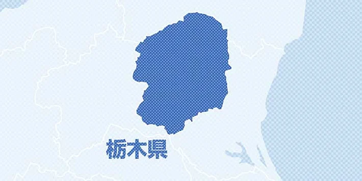 【栃木】野球少年たちに「光」を…“電線盗難”でグラウンドの照明が使用不能に、復旧のためクラウドファンディング開始