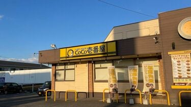 ココイチ「高級化で客離れ｣に見るカレー店の変容 牛丼チェーンなど強敵が参戦､高付加価値戦略に