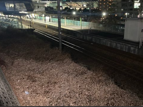 JR伊丹駅の線路脇で「子どもの頭部などの人骨」のようなもの見つかる