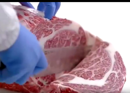 【動画】人工肉、ここまでくるw