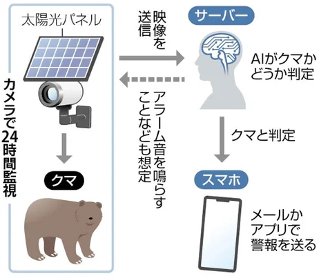 ツキノワグマの２４時間監視にＡＩ、出没急増の三重県が実証実験…課題は正しく判定できるかどうか