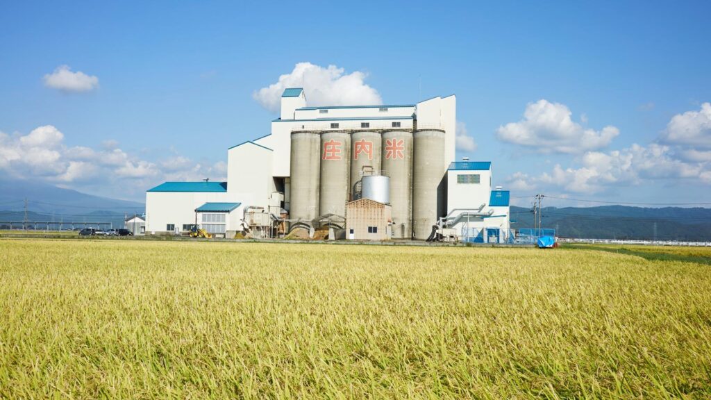 備蓄米、投機的転売防止目的で買受業者は基本精米で流通と決定