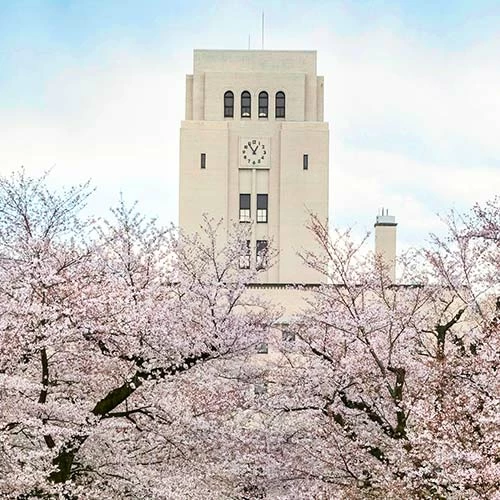 【悲報】東工大の牛学生、女子枠を馬◯にしまくっていることが判明wwww