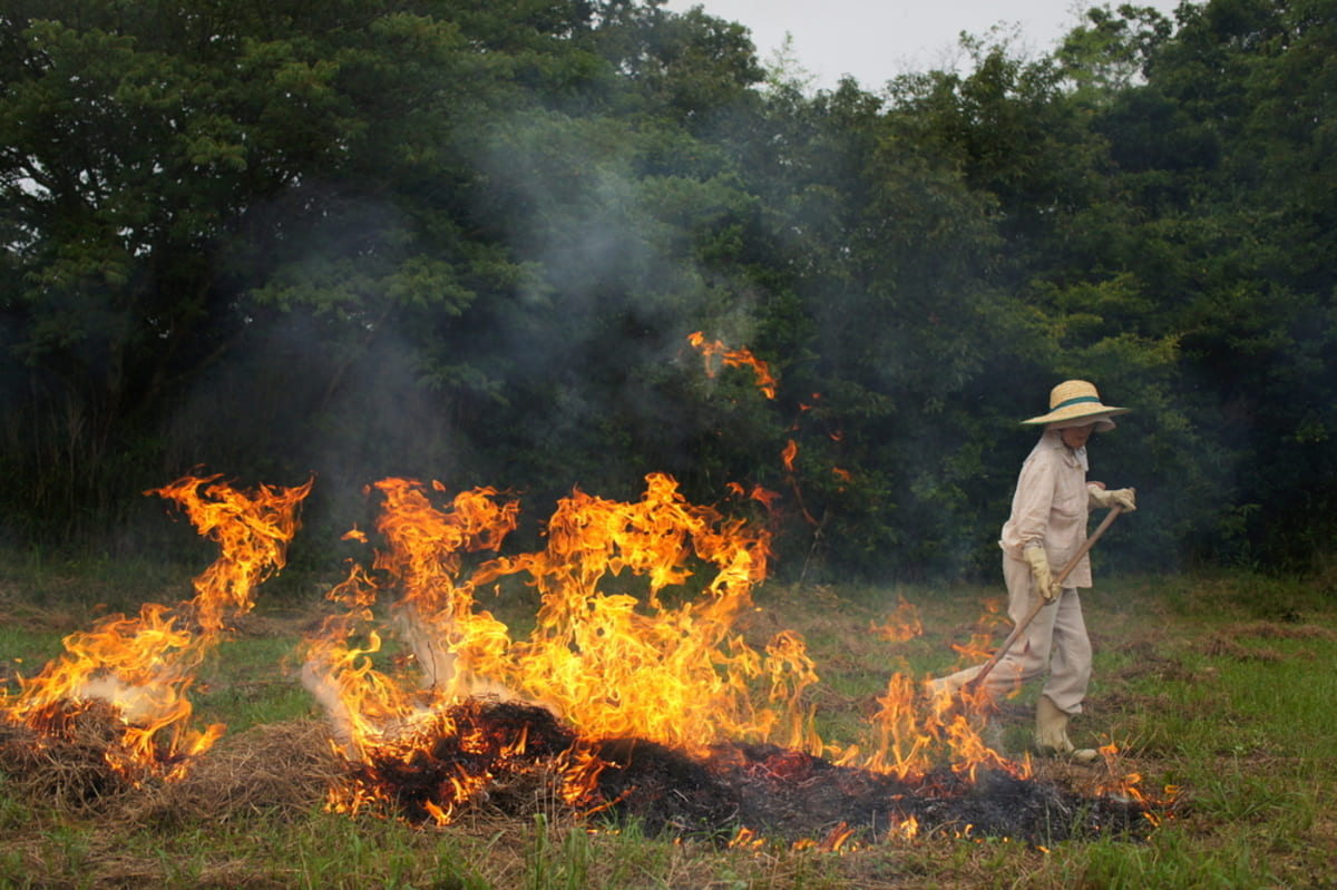 【兵庫】野焼きの火が衣服に引火、88歳男性が重傷　木に火がつかず灯油をかけ転倒