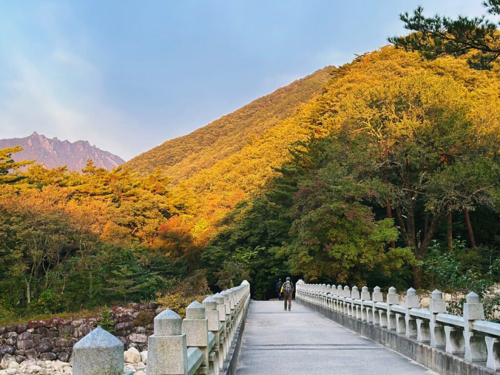 【日本人も韓国に来て！】 韓国政府が日本人観光客誘致に乗り出す＝韓国ネット「韓国人も国内旅行を」