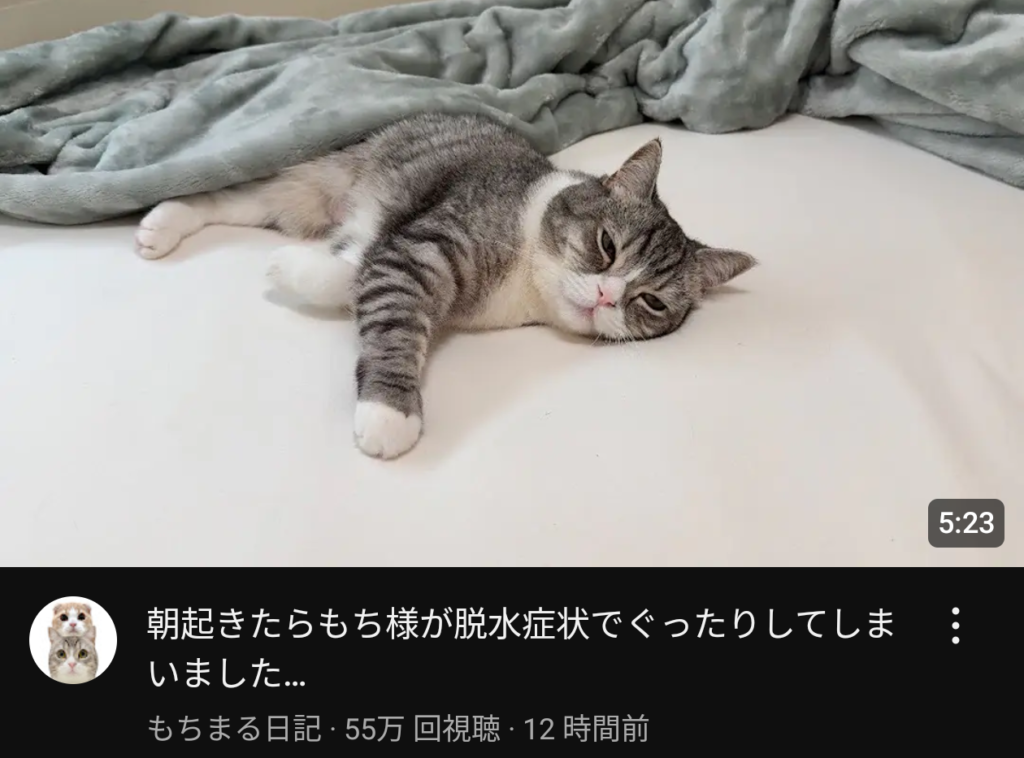 【画像】もちまる、死にそう😭