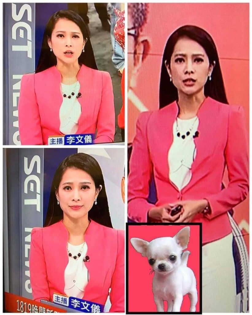 〝胸元がチワワにしか見えないニュースキャスター〟画像をリポストしたら…奈良美智さんの「まさかの展開」投稿が話題！