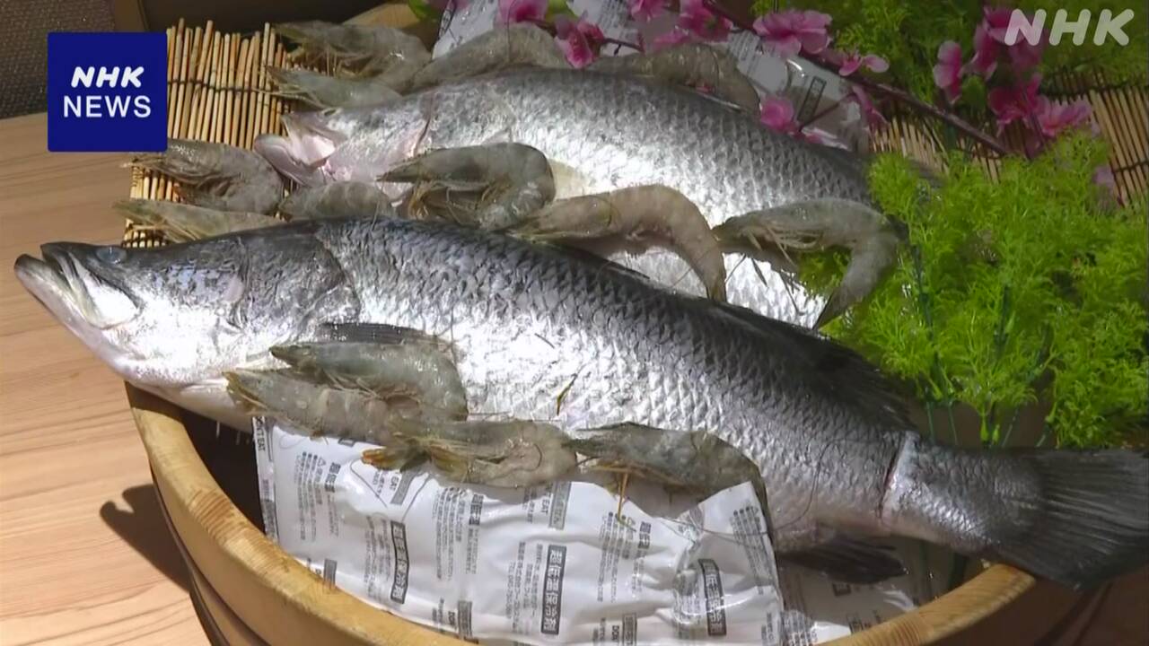 【タイ】日本の研究チームが中心となり、在来種の魚とエビを養殖する新たな技術を開発