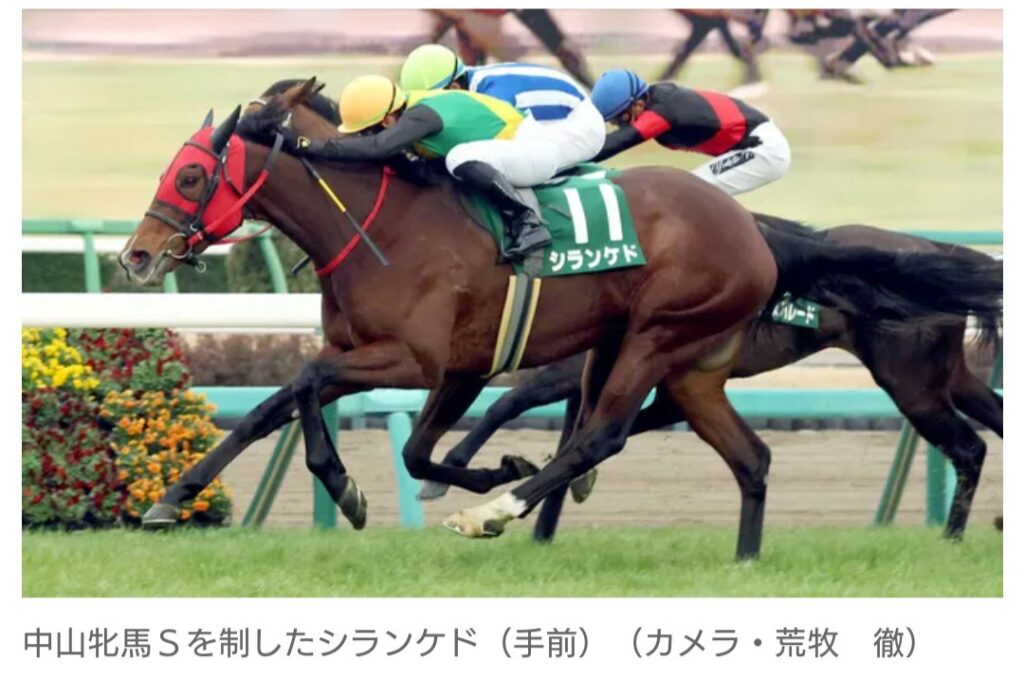 【競馬】中山牝馬S　シランケドが3連勝で重賞初制覇！　Mデムーロ騎手は19年連続のJRA重賞勝利